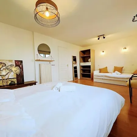 Le Mandel 8 Pers Balcon Vue Loire Wifi Parking شقة نانت